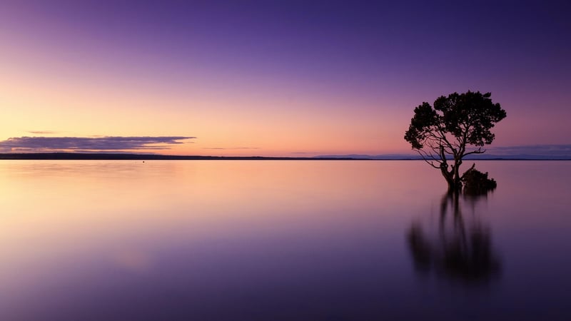 Water Reflection